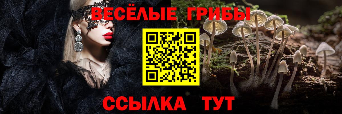 купить наркоту  Вход с VPN  Люберцы  Галлюциногенные грибы Psilocybe  Галлюциногенные грибы Psilocybe 